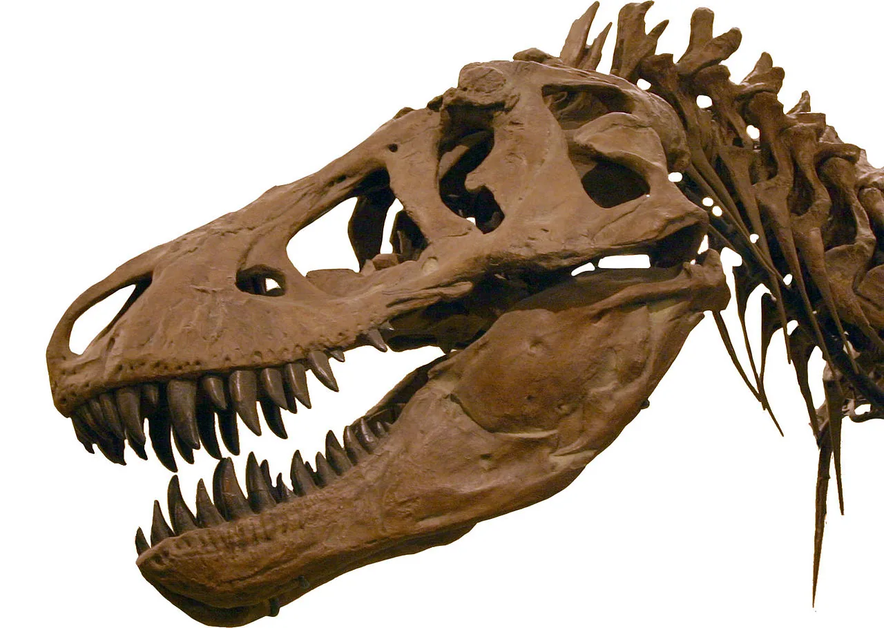 T-Rex — король динозавров