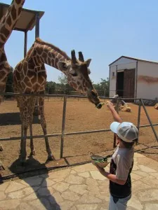 Paphos Zoo