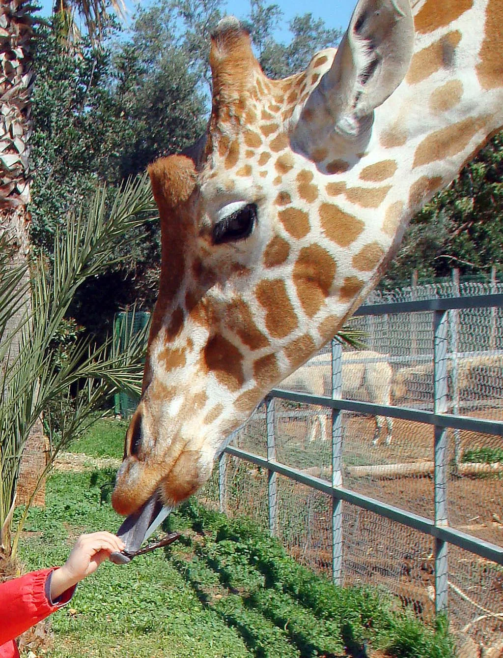 Pafos Zoo Pafos Zoo