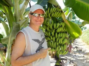 bananas in Cyprus