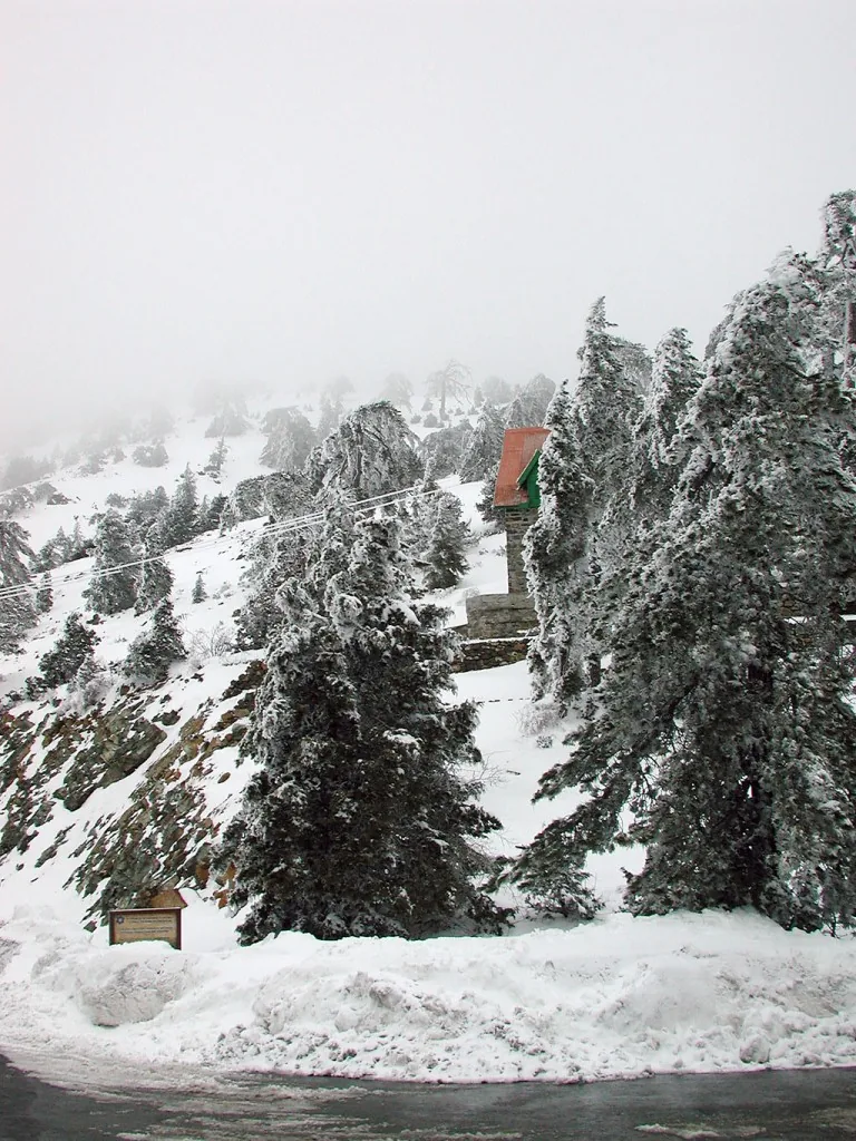 Troodos in the winter
