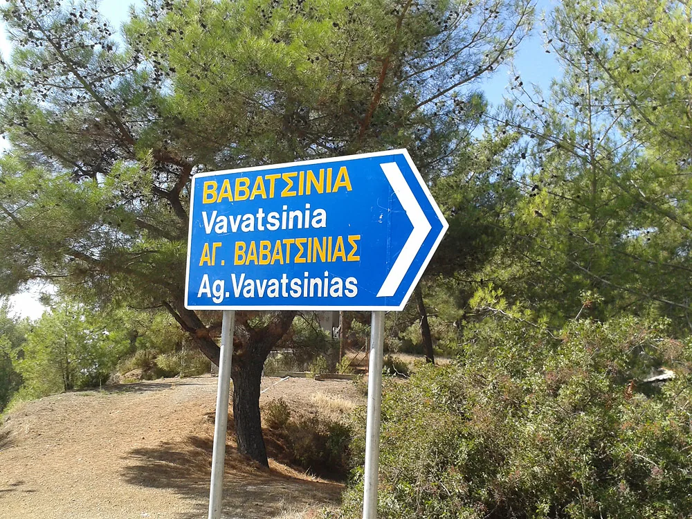 Vavatsinia