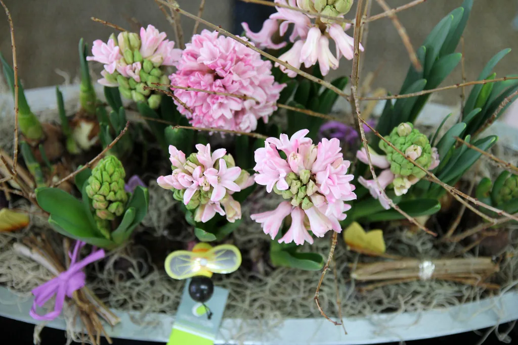 Unico Fiori