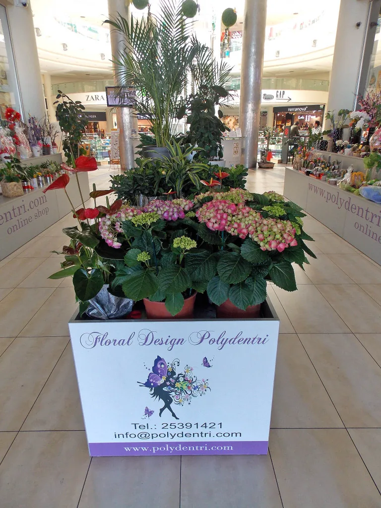 Polydentri Flower Shop