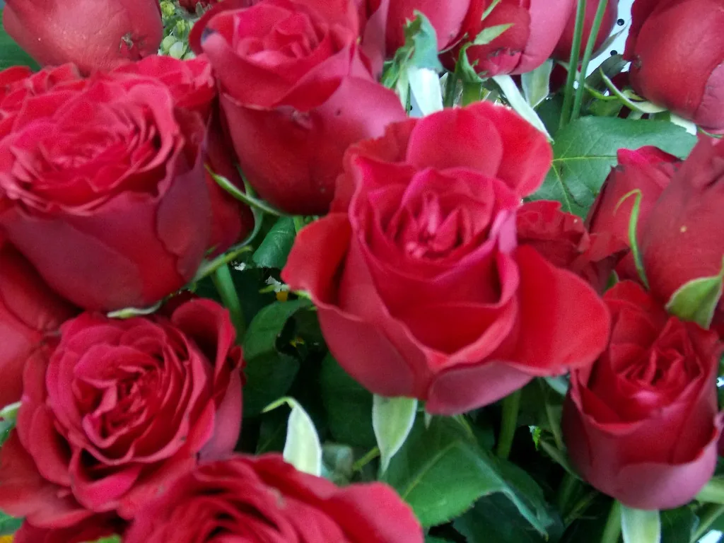 Polydentri Flower Shop