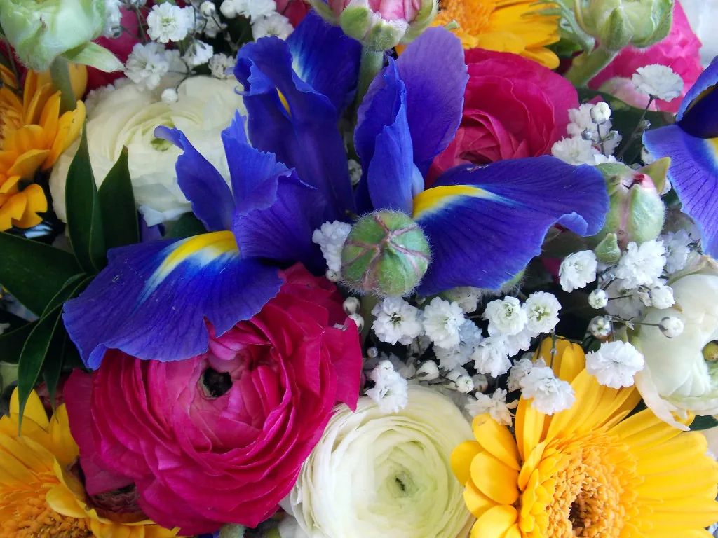 Polydentri Flower Shop
