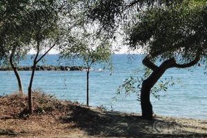 Dasoudi Beach - Limassol