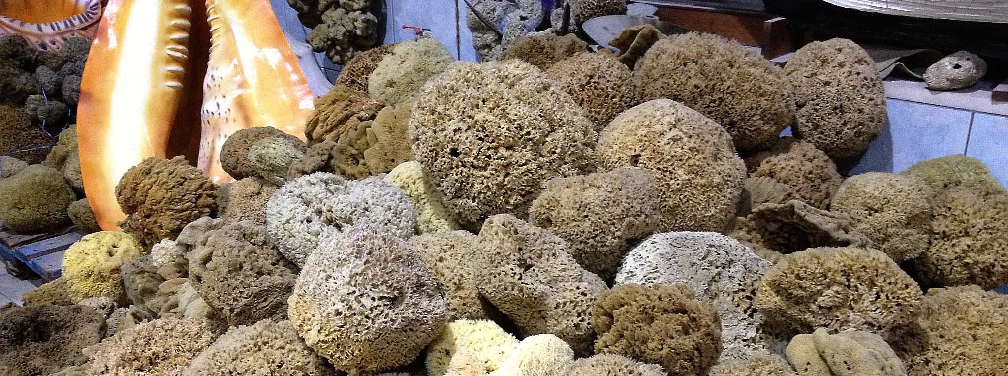 Губка Натуральная Морская Купить
