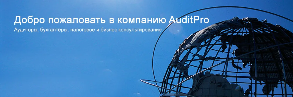 AuditPro Services