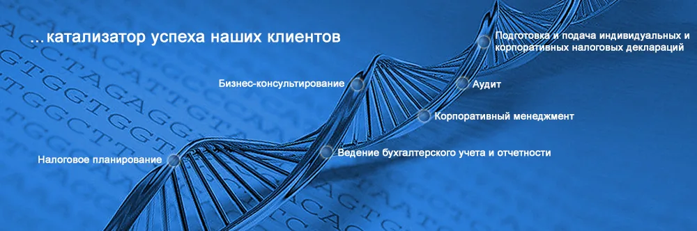 AuditPro Services