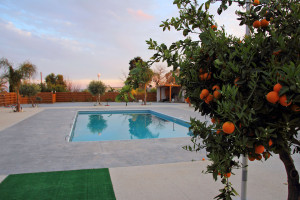 pool side view