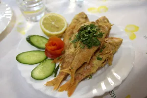 Gold Lemon Red Mullet Gold Lemon Red Mullet