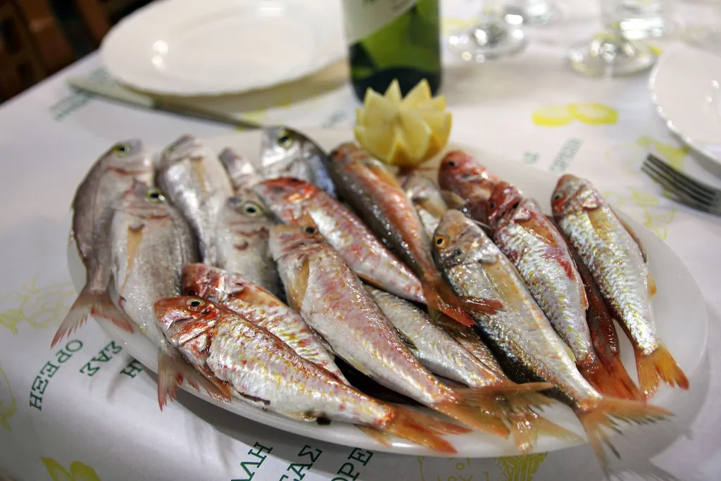 Gold Lemon fish Gold Lemon fish