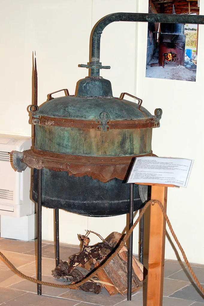 Vasa