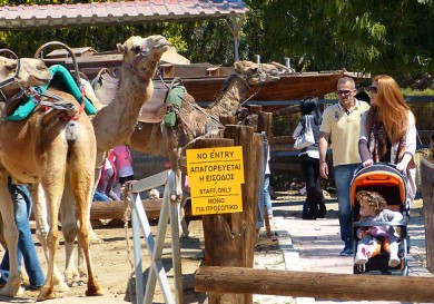 Camel Park Mazotos