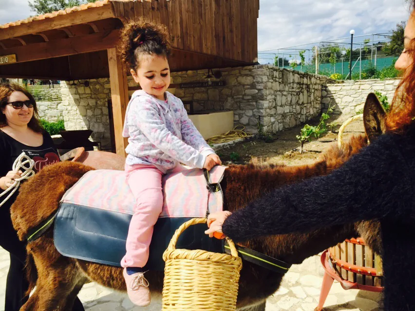 Golden Donkeys Farm Golden Donkeys Farm