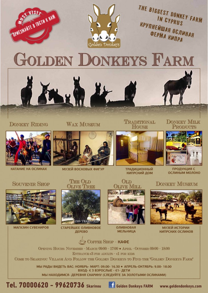 Golden Donkeys Farm