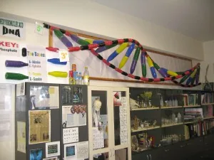 The International School of Paphos The International School of Paphos