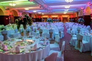 Wedding in Elysium