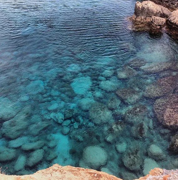 the sea the sea