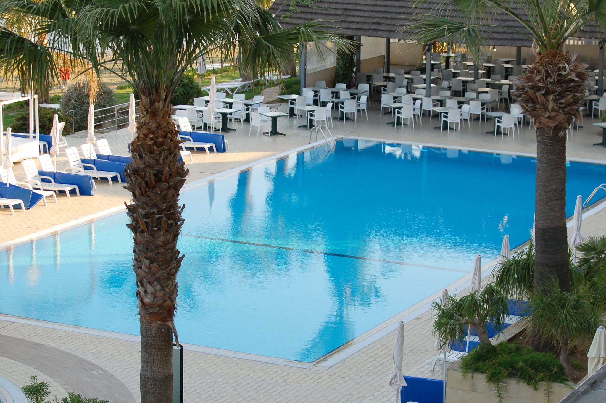 Palm Beach Hotel | Cyprus inform