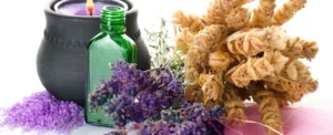 What are the therapeutic and aromatic herbs that grow in Cyprus?