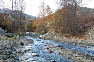 Pelendri village