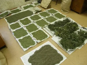 В Хургаде задержана лодка с 5 тоннами марихуаны