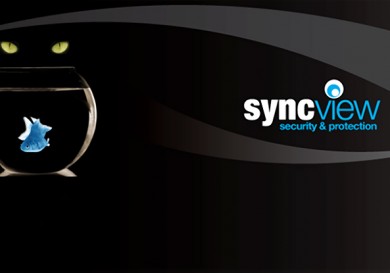 SyncView Security & Protection Company