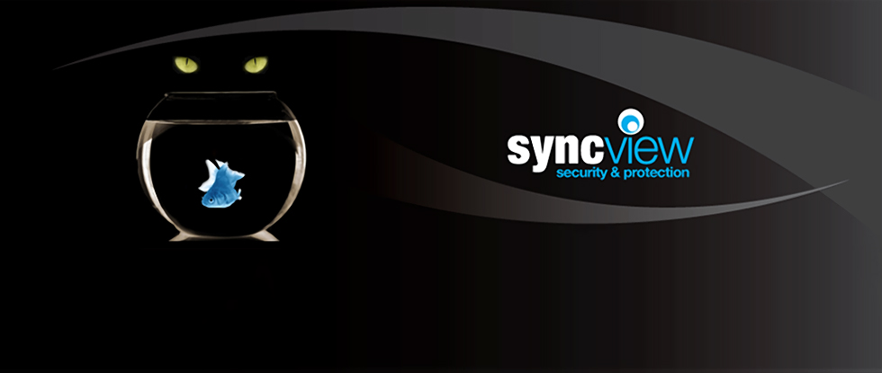 SyncView Security & Protection Company