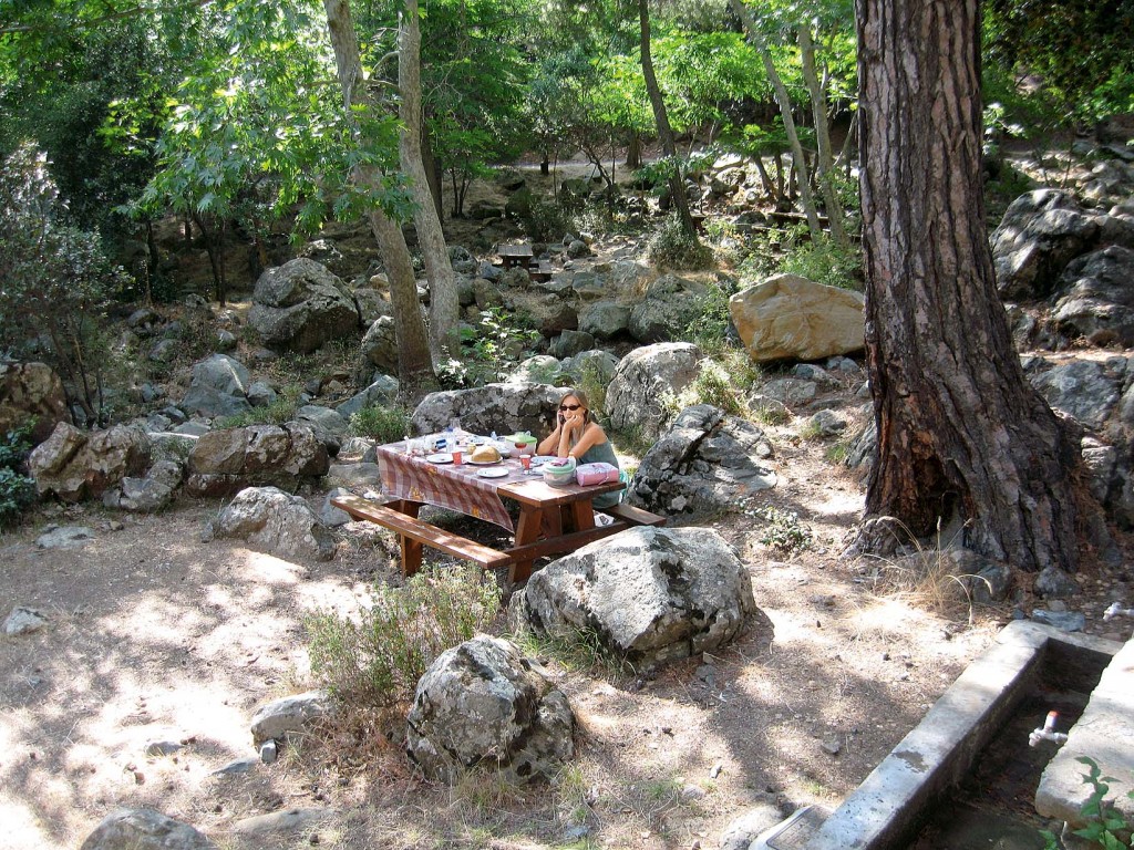 Picnic in the Troodos