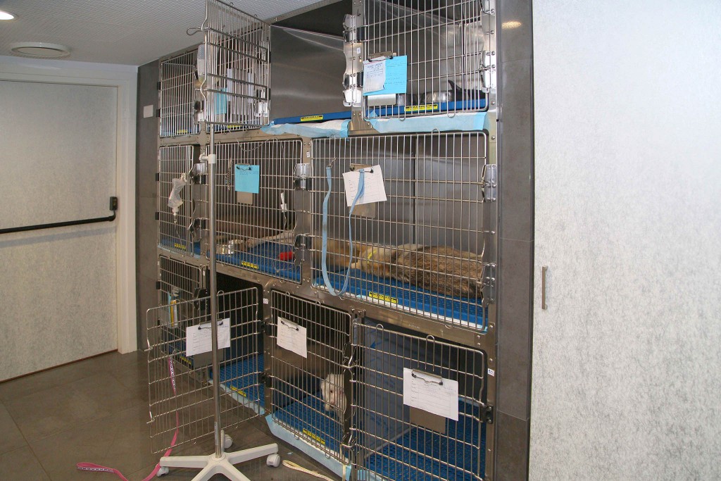 Animal Health Veterinary Hospital