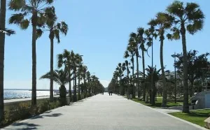Molos Limassol Molos Limassol