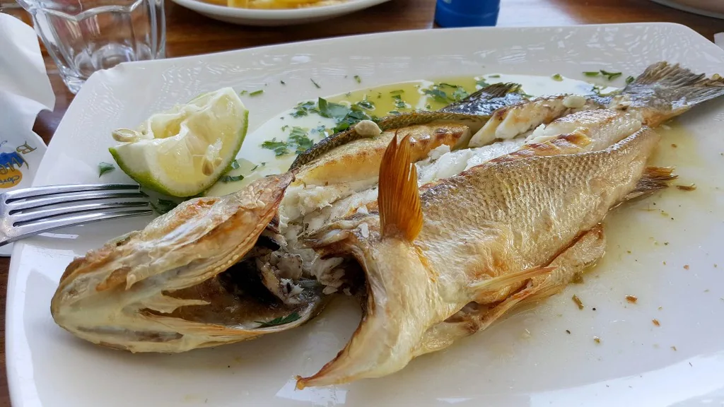 Seabass Seabass