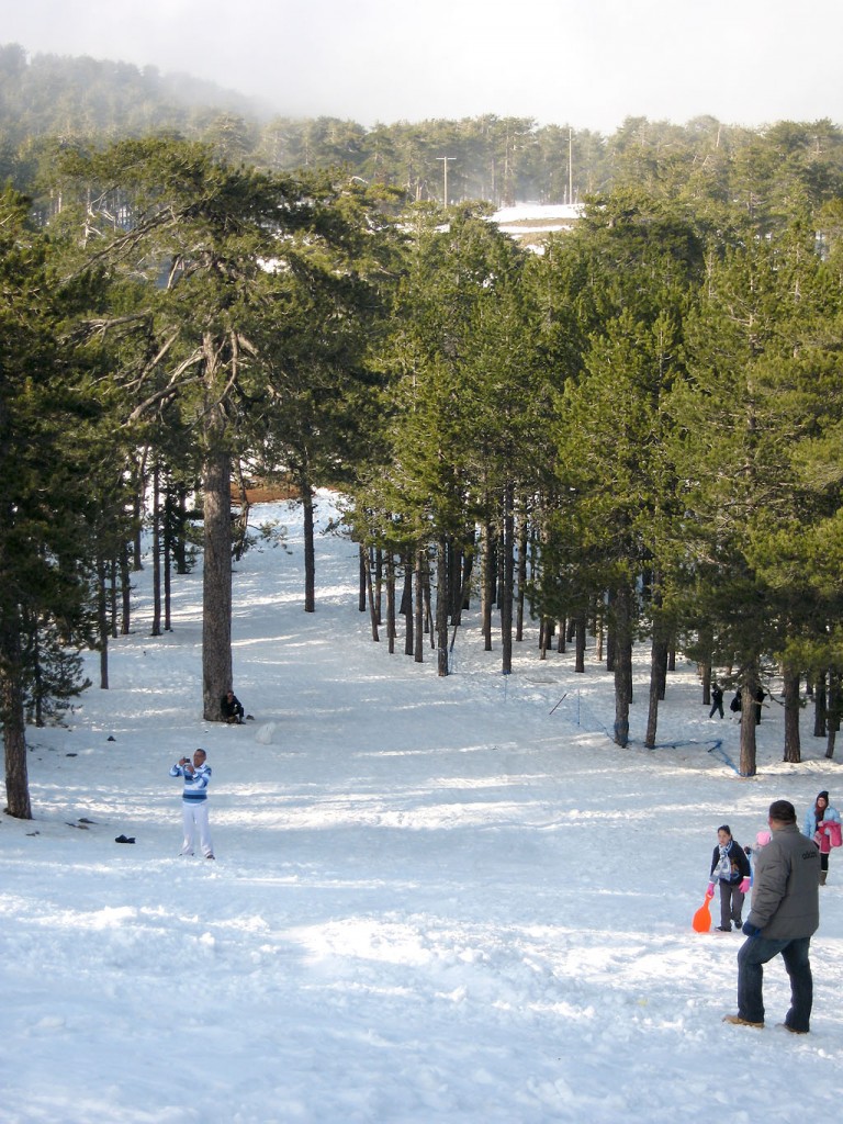 Troodos winter