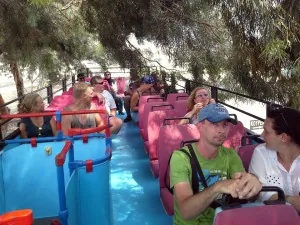 Love buses