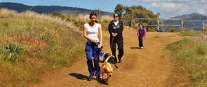 Прогулка с собаками приюта Dog Valley Rescue Centre