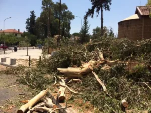 Warning from the Cyprus Forestry Department