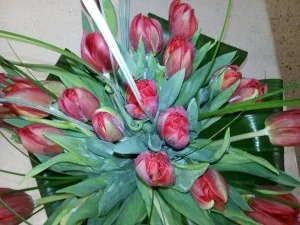 Anthemio Flowershop Anthemio Flowershop