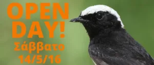 День открытых дверей в BirdLife Cyprus