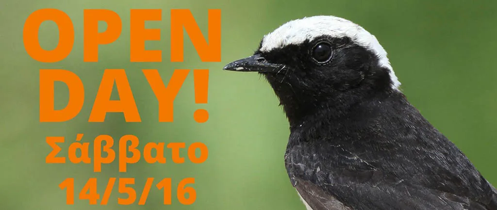 День открытых дверей в BirdLife Cyprus