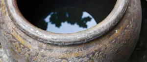 French and Greek archeologists discovered the oldest wine in the world