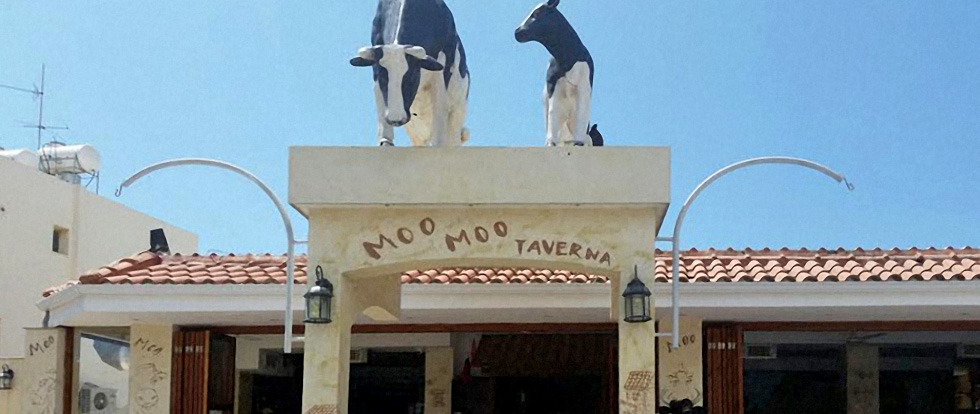 Moo Moo Tavern