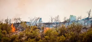 Forest fires in Cyprus