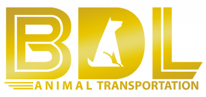 BDL animal transportation