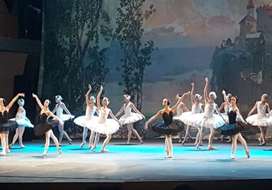 Swan lake