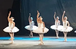 «Лебединое озеро»