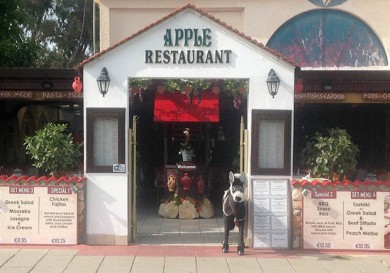 Apple Restaurant