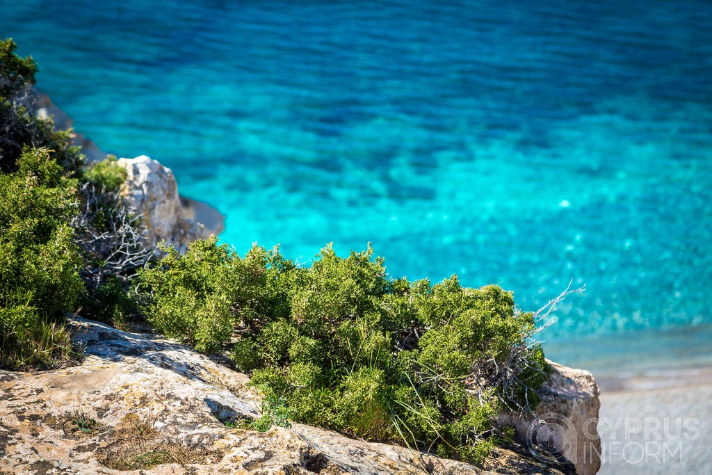 National Forest Park "Cape Greco”