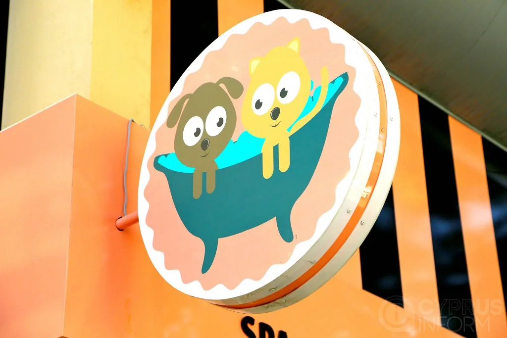 Dream Dogs